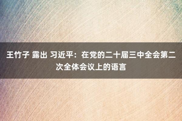 王竹子 露出 习近平：在党的二十届三中全会第二次全体会议上的语言