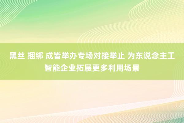 黑丝 捆绑 成皆举办专场对接举止 为东说念主工智能企业拓展更多利用场景