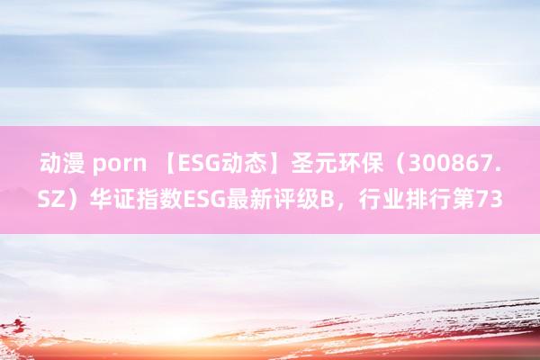 动漫 porn 【ESG动态】圣元环保（300867.SZ）华证指数ESG最新评级B，行业排行第73