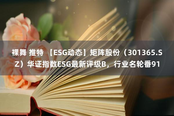 裸舞 推特 【ESG动态】矩阵股份（301365.SZ）华证指数ESG最新评级B，行业名轮番91