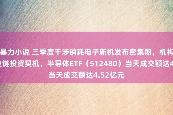 暴力小说 三季度干涉销耗电子新机发布密集期，机构看好产业链投资契机，半导体ETF（512480）当天成交额达4.52亿元