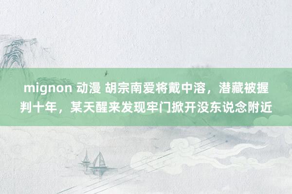 mignon 动漫 胡宗南爱将戴中溶，潜藏被握判十年，某天醒来发现牢门掀开没东说念附近