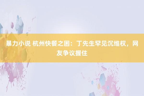 暴力小说 杭州快餐之困：丁先生罕见沉维权，网友争议握住