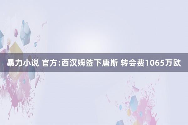 暴力小说 官方:西汉姆签下唐斯 转会费1065万欧