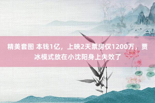 精美套图 本钱1亿，上映2天票房仅1200万，贾冰模式放在小沈阳身上失效了