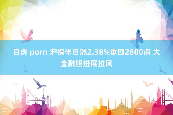 白虎 porn 沪指半日涨2.38%重回2800点 大金融股进展拉风