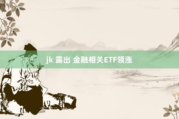 jk 露出 金融相关ETF领涨