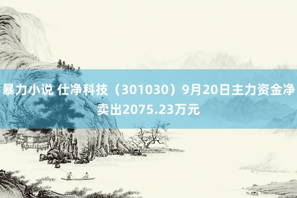 暴力小说 仕净科技（301030）9月20日主力资金净卖出2075.23万元