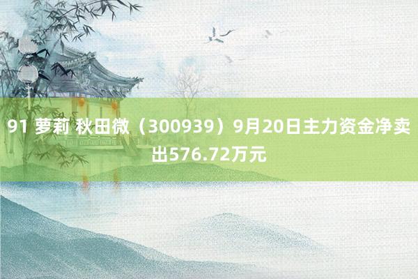 91 萝莉 秋田微（300939）9月20日主力资金净卖出576.72万元