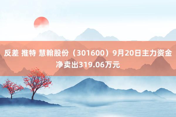 反差 推特 慧翰股份（301600）9月20日主力资金净卖出319.06万元