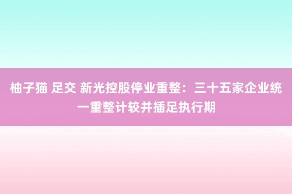 柚子猫 足交 新光控股停业重整：三十五家企业统一重整计较并插足执行期