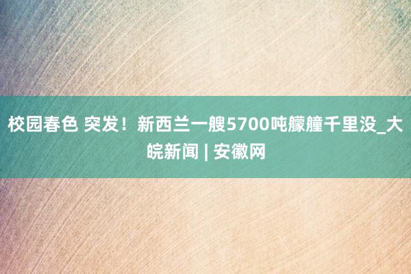 校园春色 突发！新西兰一艘5700吨艨艟千里没_大皖新闻 | 安徽网