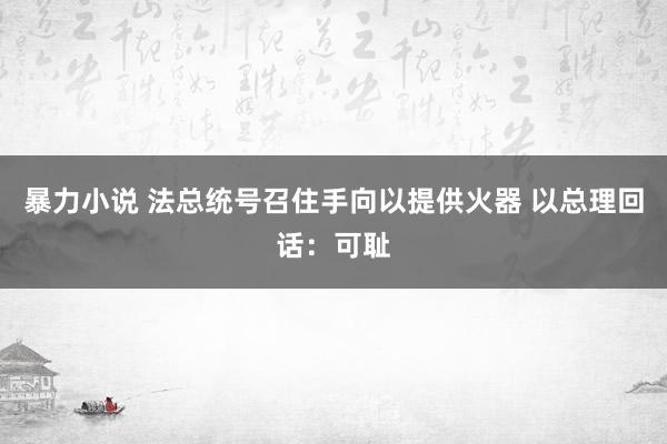 暴力小说 法总统号召住手向以提供火器 以总理回话：可耻