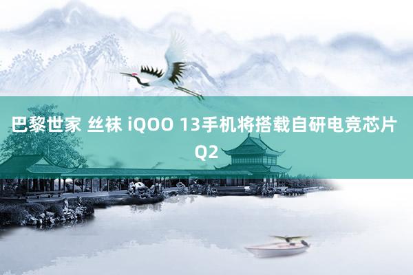 巴黎世家 丝袜 iQOO 13手机将搭载自研电竞芯片 Q2