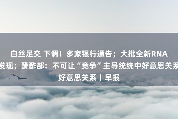 白丝足交 下调！多家银行通告；大批全新RNA病毒被发现；酬酢部：不可让“竞争”主导统统中好意思关系丨早报