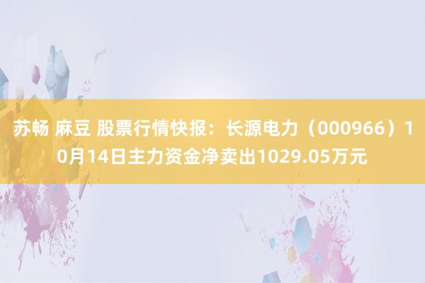 苏畅 麻豆 股票行情快报：长源电力（000966）10月14日主力资金净卖出1029.05万元