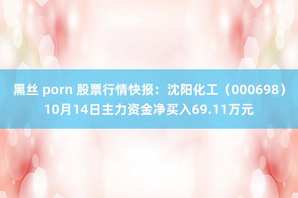 黑丝 porn 股票行情快报：沈阳化工（000698）10月14日主力资金净买入69.11万元