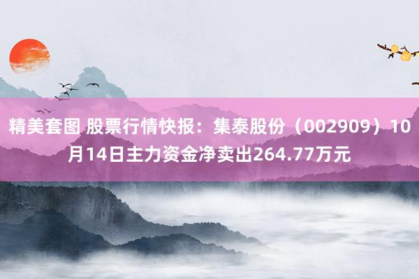 精美套图 股票行情快报：集泰股份（002909）10月14日主力资金净卖出264.77万元