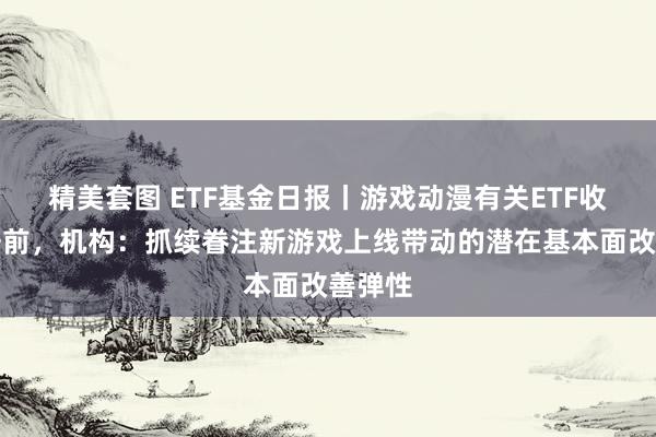 精美套图 ETF基金日报丨游戏动漫有关ETF收益率居前，机构：抓续眷注新游戏上线带动的潜在基本面改善弹性