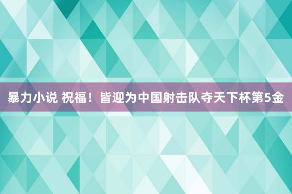 暴力小说 祝福！皆迎为中国射击队夺天下杯第5金