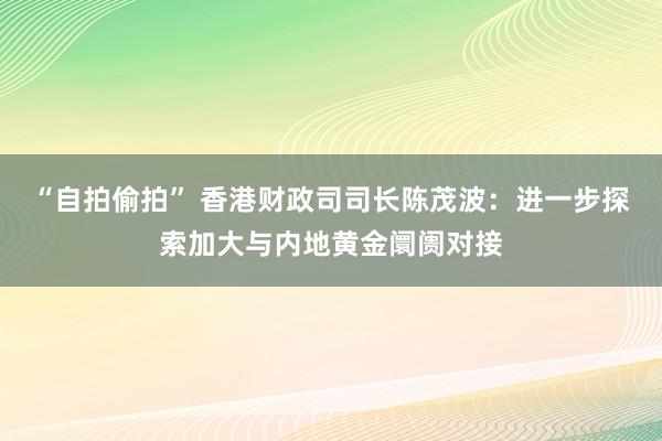 “自拍偷拍” 香港财政司司长陈茂波：进一步探索加大与内地黄金阛阓对接