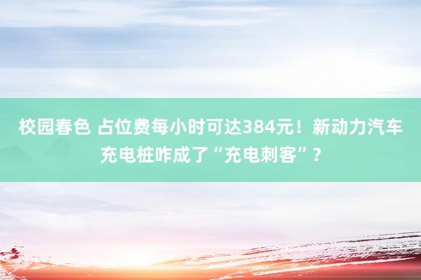 校园春色 占位费每小时可达384元！新动力汽车充电桩咋成了“充电刺客”？