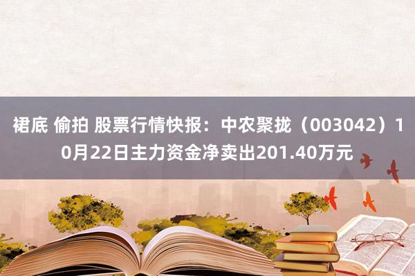 裙底 偷拍 股票行情快报：中农聚拢（003042）10月22日主力资金净卖出201.40万元