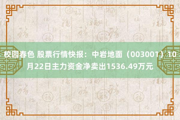 校园春色 股票行情快报：中岩地面（003001）10月22日主力资金净卖出1536.49万元