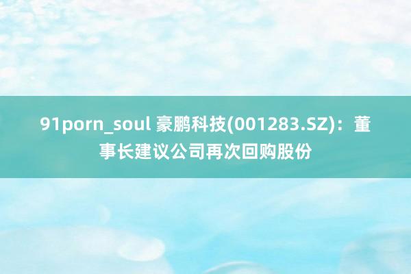 91porn_soul 豪鹏科技(001283.SZ)：董事长建议公司再次回购股份