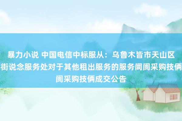 暴力小说 中国电信中标服从：乌鲁木皆市天山区二说念桥街说念服务处对于其他租出服务的服务阛阓采购技俩成交公告