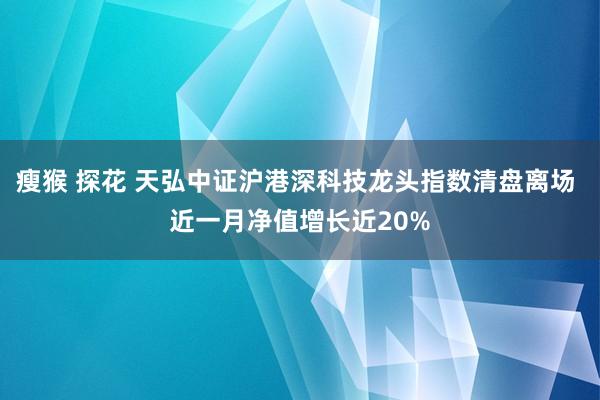 瘦猴 探花 天弘中证沪港深科技龙头指数清盘离场 近一月净值增长近20%