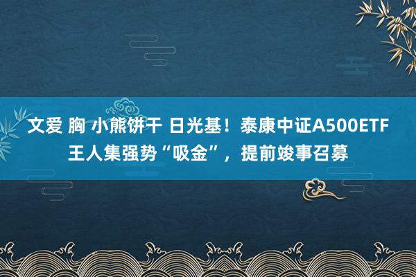 文爱 胸 小熊饼干 日光基！泰康中证A500ETF王人集强势“吸金”，提前竣事召募