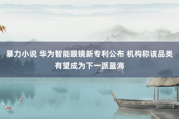 暴力小说 华为智能眼镜新专利公布 机构称该品类有望成为下一派蓝海