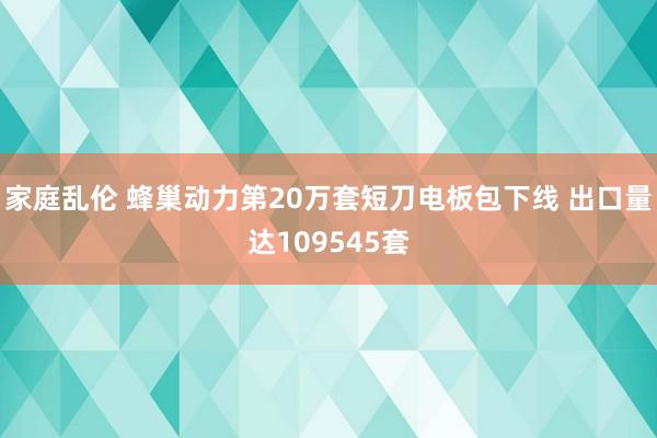 家庭乱伦 蜂巢动力第20万套短刀电板包下线 出口量达109545套