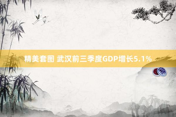 精美套图 武汉前三季度GDP增长5.1%