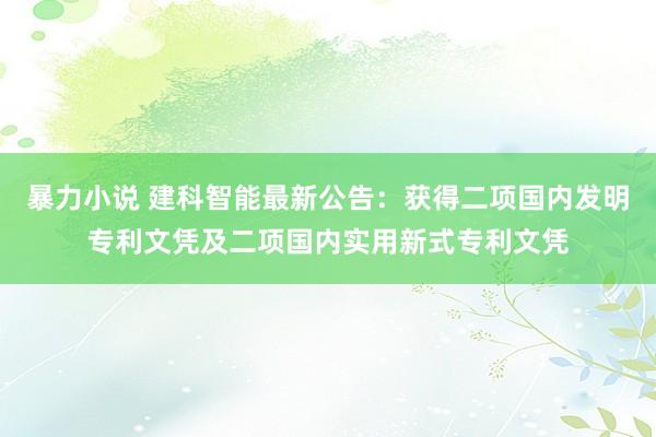 暴力小说 建科智能最新公告：获得二项国内发明专利文凭及二项国内实用新式专利文凭