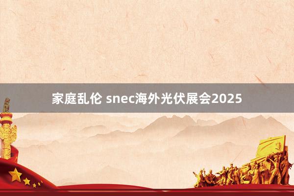 家庭乱伦 snec海外光伏展会2025