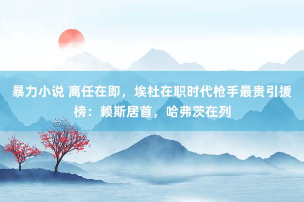 暴力小说 离任在即，埃杜在职时代枪手最贵引援榜：赖斯居首，哈弗茨在列