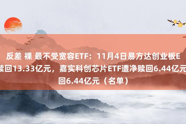 反差 裸 最不受宽容ETF：11月4日易方达创业板ETF遭净赎回13.33亿元，嘉实科创芯片ETF遭净赎回6.44亿元（名单）