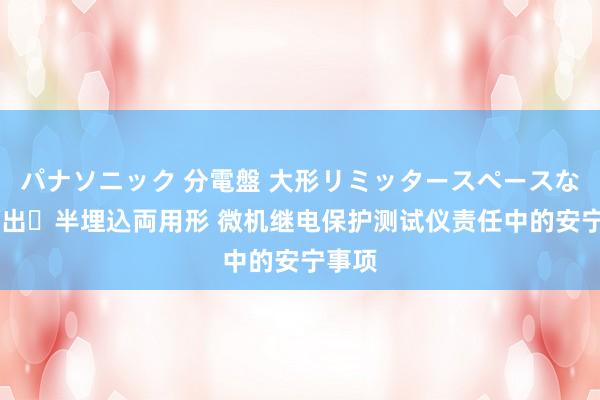 パナソニック 分電盤 大形リミッタースペースなし 露出・半埋込両用形 微机继电保护测试仪责任中的安宁事项