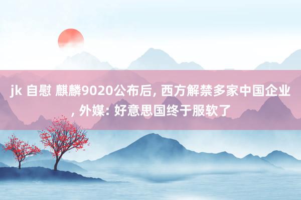 jk 自慰 麒麟9020公布后， 西方解禁多家中国企业， 外媒: 好意思国终于服软了