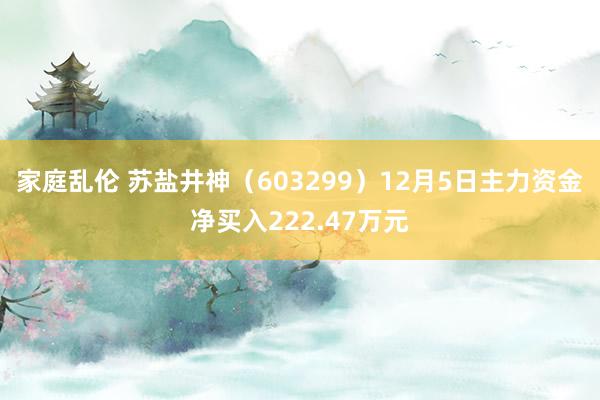 家庭乱伦 苏盐井神（603299）12月5日主力资金净买入222.47万元