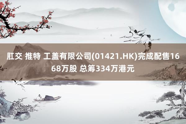 肛交 推特 工盖有限公司(01421.HK)完成配售1668万股 总筹334万港元