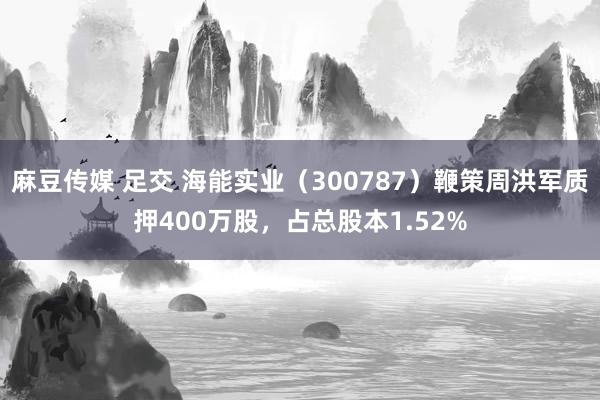 麻豆传媒 足交 海能实业（300787）鞭策周洪军质押400万股，占总股本1.52%