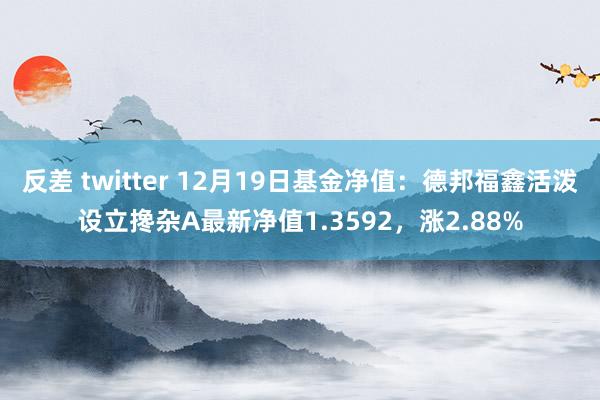 反差 twitter 12月19日基金净值：德邦福鑫活泼设立搀杂A最新净值1.3592，涨2.88%