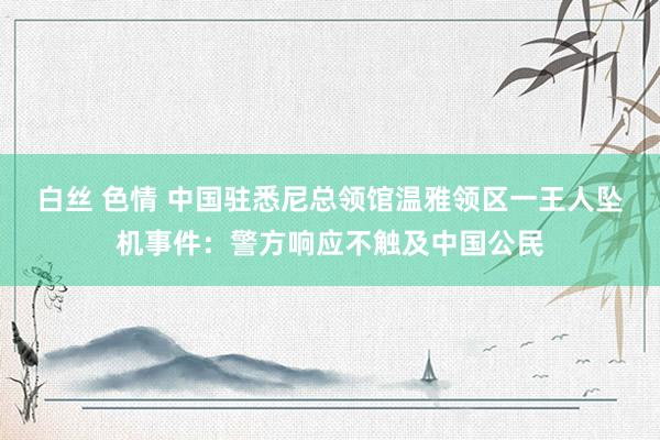 白丝 色情 中国驻悉尼总领馆温雅领区一王人坠机事件：警方响应不触及中国公民