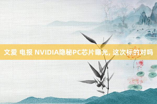 文爱 电报 NVIDIA隐秘PC芯片曝光， 这次标的对吗