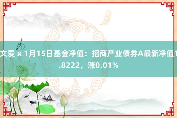 文爱 x 1月15日基金净值：招商产业债券A最新净值1.8222，涨0.01%